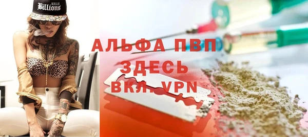 гашик Дмитров