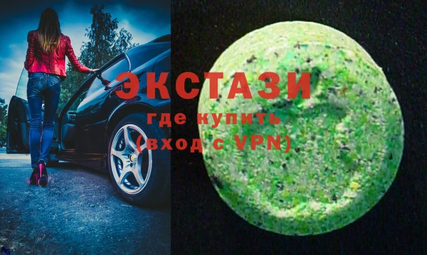 гашик Дмитров