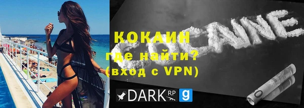 гашик Дмитров