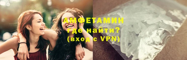 гашик Дмитров