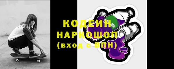 гашик Дмитров