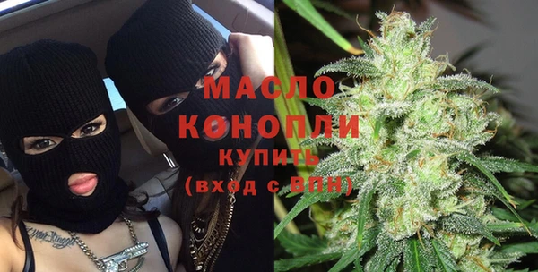 гашик Дмитров