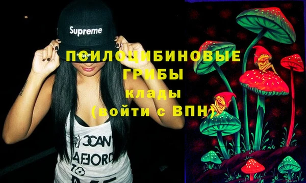 круглые Дмитриев