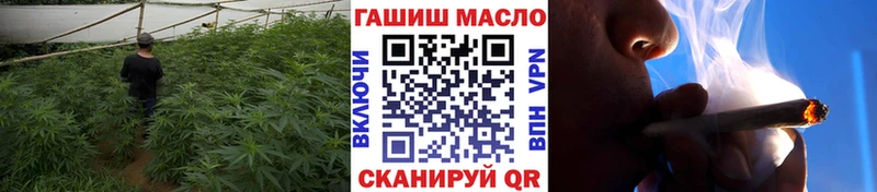 Купить  Оленегорск  ТГК концентрат 